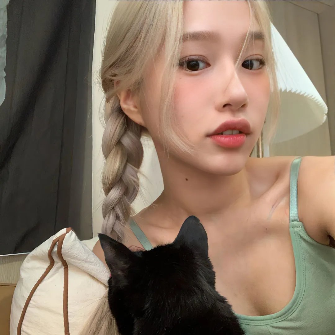 狗狗圣诞节