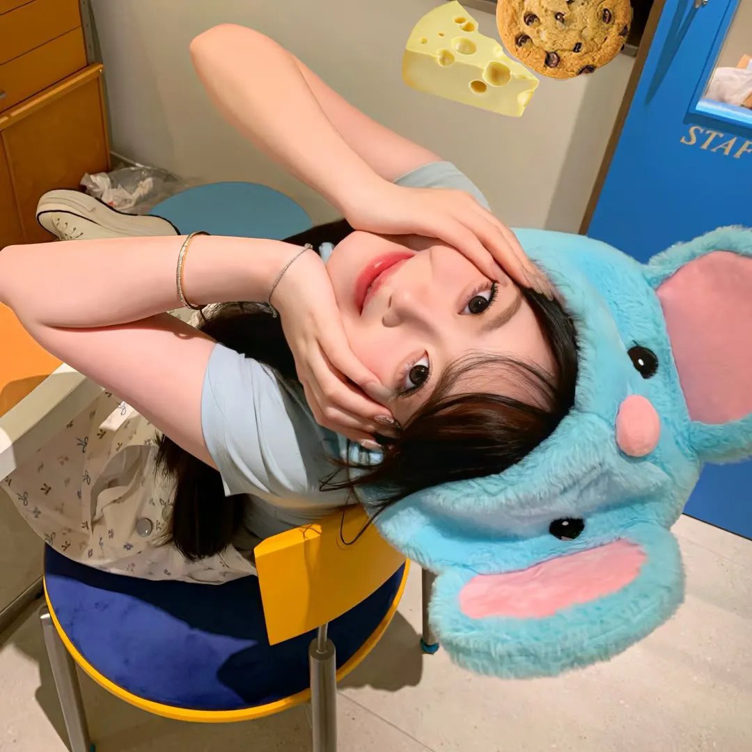 怒放的花儿