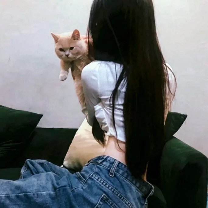 追风筝的人